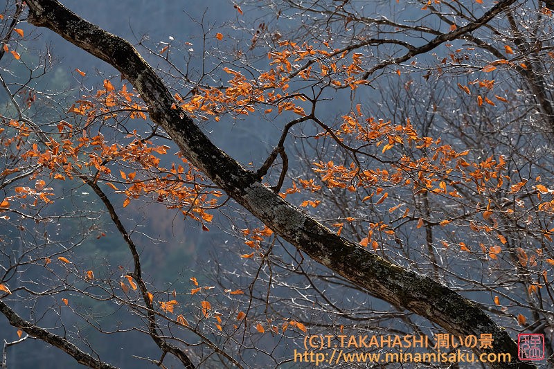 ../Images/7R251123 (90).jpg